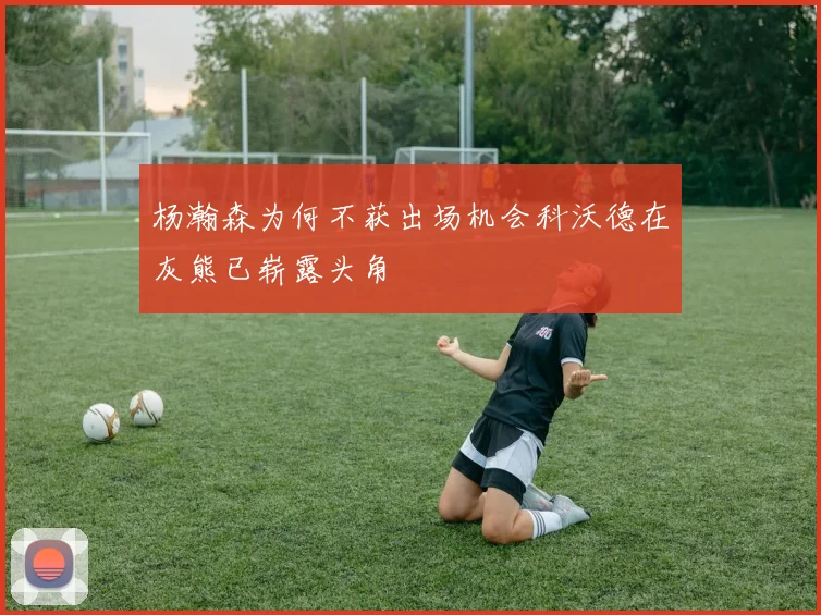 杨瀚森为何不获出场机会科沃德在灰熊已崭露头角