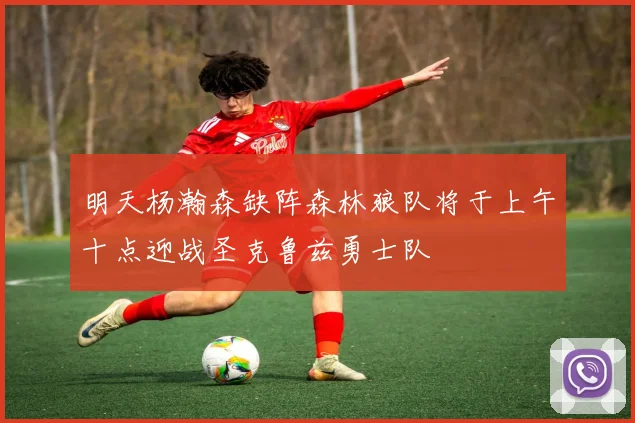 明天杨瀚森缺阵森林狼队将于上午十点迎战圣克鲁兹勇士队
